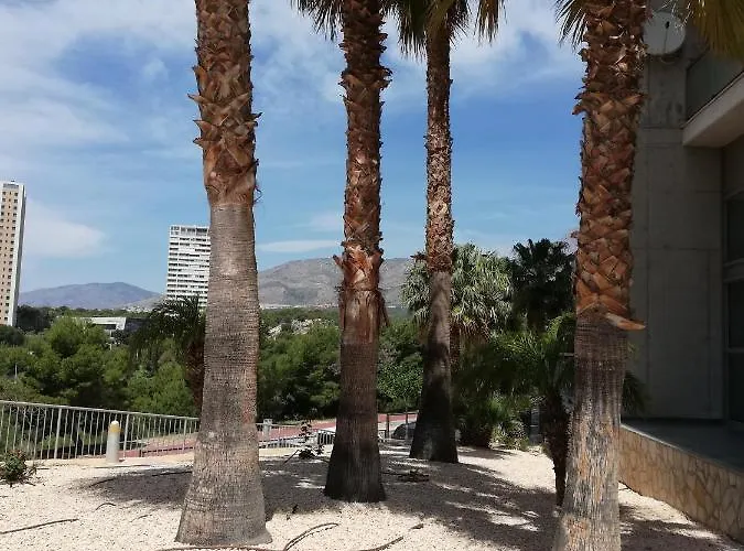 Apartment Torre Pinar I